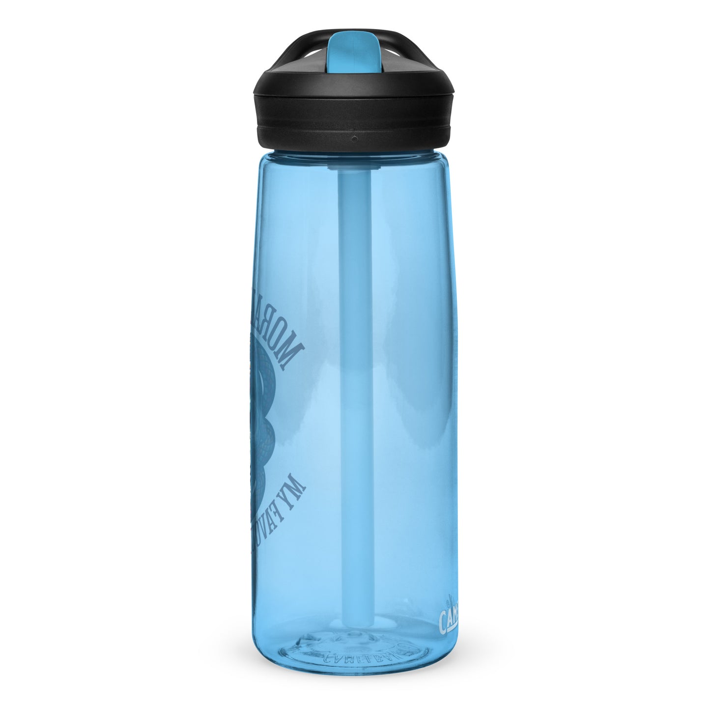 Morally Grey water bottle - Bookslut Shirts