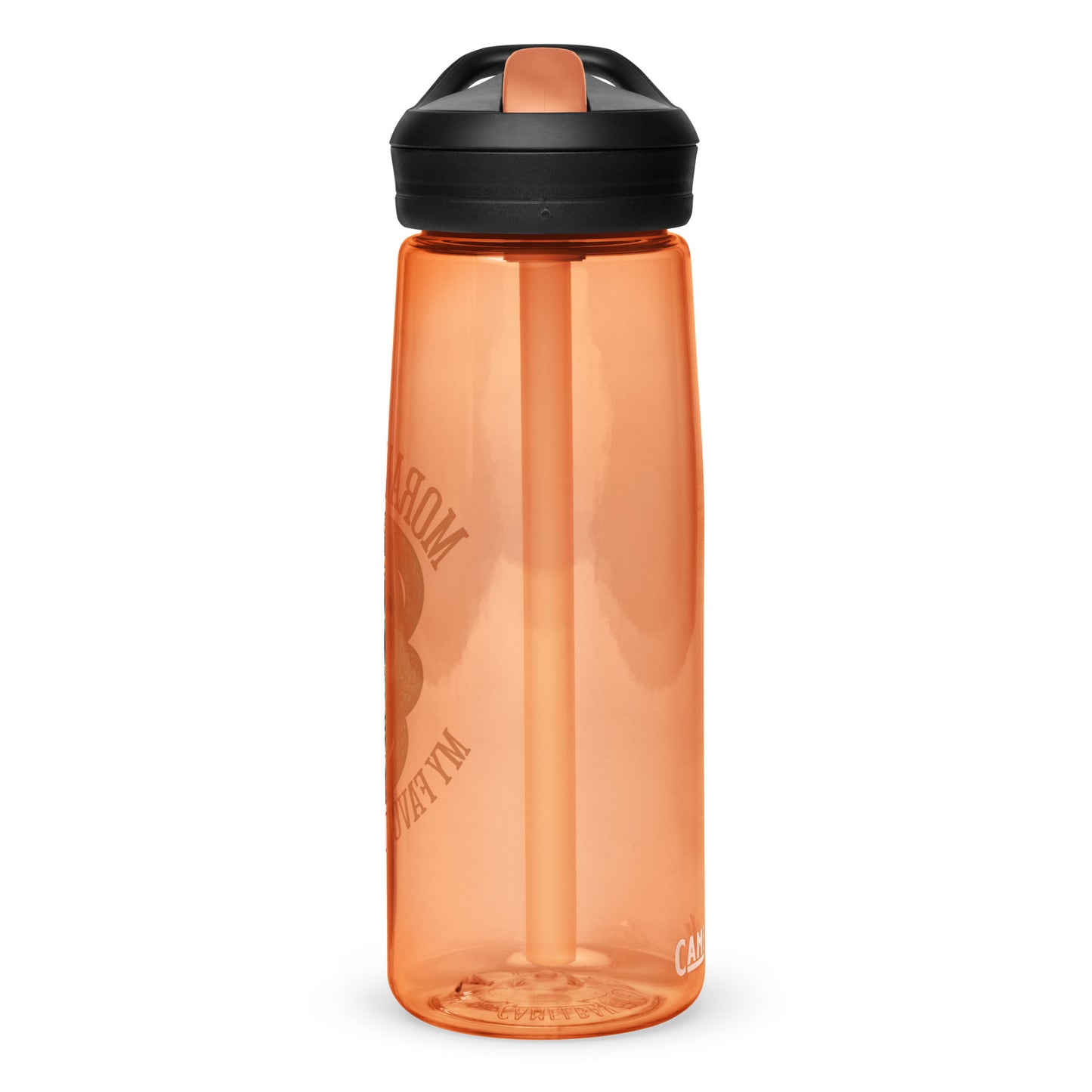 Morally Grey water bottle - Bookslut Shirts
